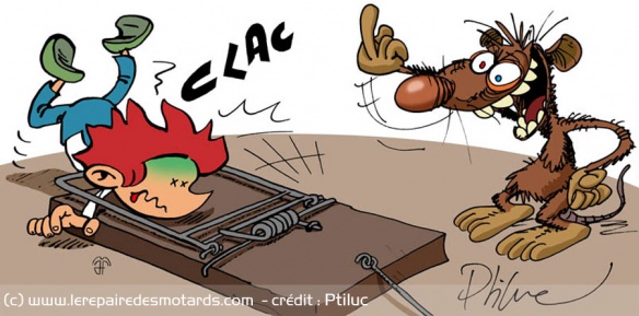 Tel leur auteur, les rats demeurent bien irrévérencieux !