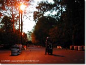 Permis moto : cours n°7 - la nuit