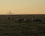 Vue sur le Mont Saint-Michel depuis le Val-Saint-Pre (c) Xfigpower