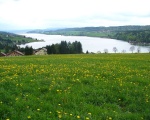 Le lac de Saint-Point (c) Suaudeau