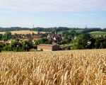 Balade dans le Vexin prs de Longuesse (c) P.poschadel