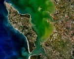 Vue satellite de l'le d'Olron