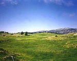 Plateau Vercors