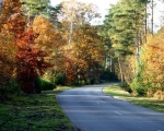 Rambouillet