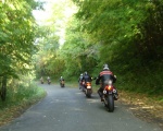 Sous les bois