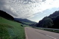Alsace Fort noire