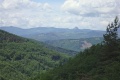 Au sud lyon