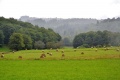Les Monts Limougeaux