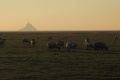 Sept Vents    Mont Saint Michel