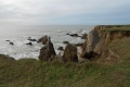 Les ctes Morbihan