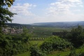 Vignes Champagne Alsace