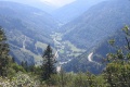 Schwartzwald