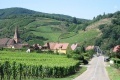 Petite balade vignobles alsaciens