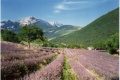Valle Drme Vercors