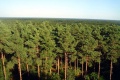 Autour forêt domaniale Orléans