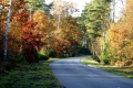 Rambouillet   Circuit Mans