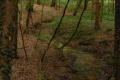 Ardennes dpart Douzy