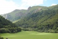Cezalllier Sancy