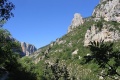 Verdon