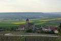 Vignobles Champagne