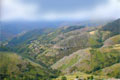 LEsprou Corniche Cvennes