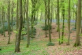 d Evreux Vers Fort Domaniale Eu