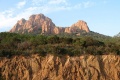 Vers Siagne
