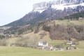 Chartreuse