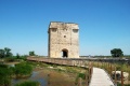 Petite Camargue