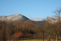 Mont Ste Odile / route vin