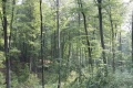 Fort Domaniale Brotonne
