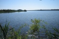 Brenne Limousin