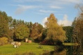 Montargis  Bord Loire Bourgogne