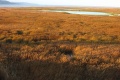 Entre Seine Marais