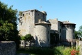 Bocage svriens