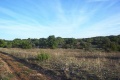 Parc naturel Causses Quercy