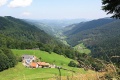 Entre cols vosgiens route vins Alsace