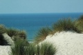 Stella plage