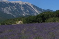 Boucle Ventoux
