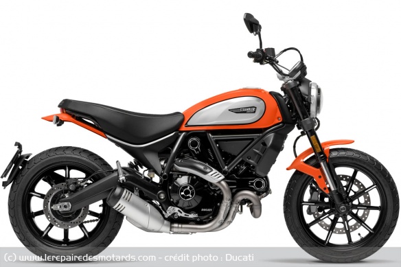 Ducati Scrambler Icon 2019-2022