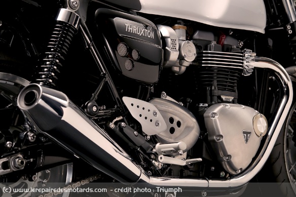 Le bicylindre de la Triumph Thruxton 1200
