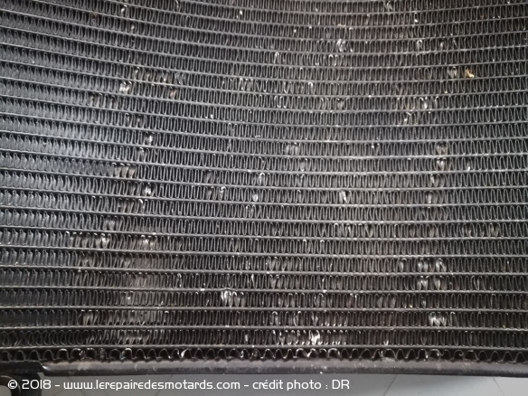 le faisceau de refroidissement du radiateur doit être propre et non endommagé. Vous pouvez lui prévoir une grille de protection