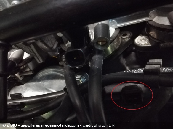 La sonde de thermostat (dans l'oval rouge) peut être sur le radiateur ou directement sur le moteur comme ici.