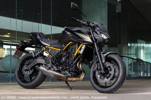 Le roadster Kawasaki Z650 S