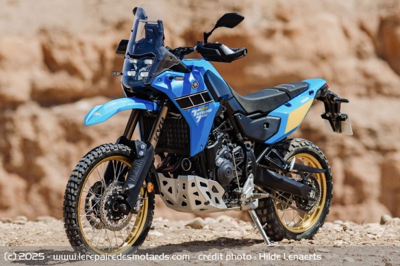 Le trail Yamaha T&eacute;n&eacute;r&eacute; 700 Rally