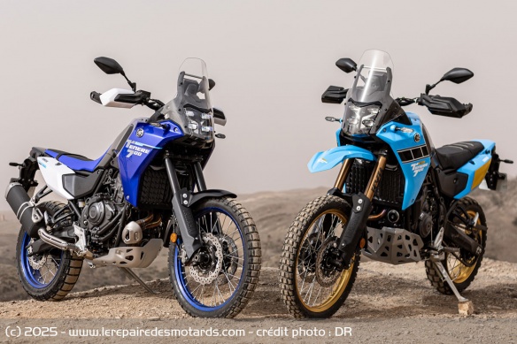 Les trails Yamaha T&eacute;n&eacute;r&eacute; 700 et T&eacute;n&eacute;r&eacute; 700 Rally