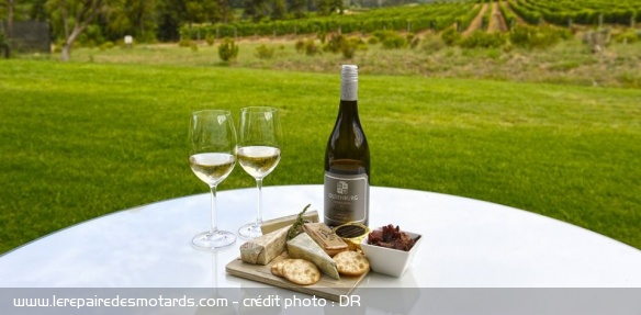 Afrique du Sud : le vin sud-africain