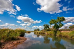 Parc national Kruger en Afrique du Sud
