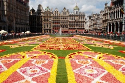 Grand Place de Bruxelles (Photo : EmDee)