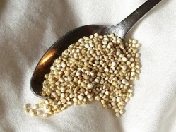 Graines de Quinoa 